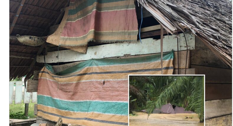 foto slider headline