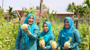 Cerita Tiga Srikandi, Panen Melon hingga Menikmati Tempe Koro