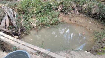 Jeritan dari Alue Bili Geulumpang: Lima Bulan Tanpa Air, Warga Menagih Janji Pemerintah