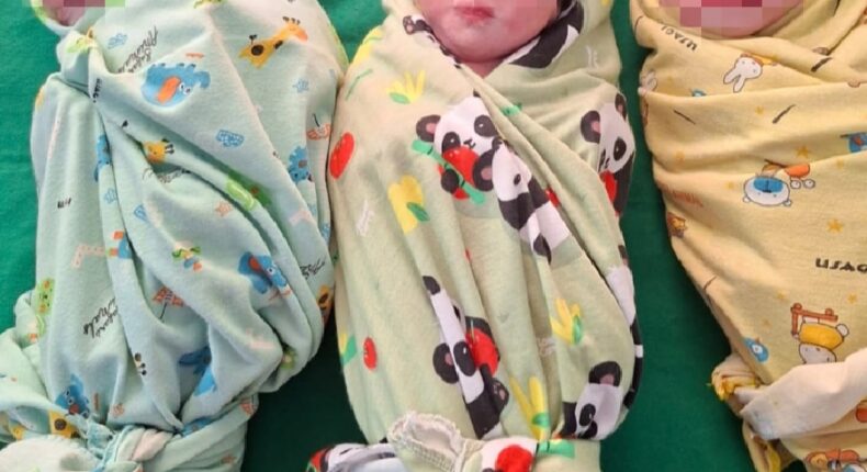 foto slider headline