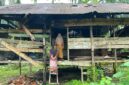 Foto: Kartini Bersama Anaknya Berdiri Didepan Gubuk Derita di Gampong Alue Bieng