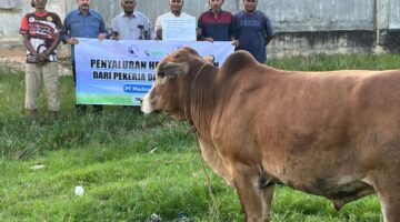 Kurban Pekerja dan Kontraktor Medco E & P Jangkau Ratusan Penerima Manfaat Di Blok A