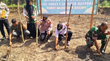 Tanam Jagung Serentak Kuartal I Tahun 2026, Polsek Peureulak Timur Dukung Ketahanan Pangan