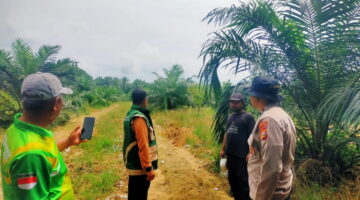 Tanam Jagung Tumpang Sari 0,5 Ha di Koto Damai, Polsek Kampar Kiri Hilir Dukung Petani Lokal