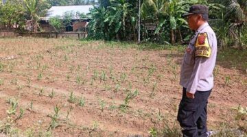 Bhabinkamtibmas Polsek Darul Ihsan Gerakkan Warga Sulap Lahan Kosong Jadi Lahan Produktif