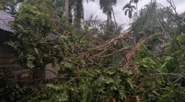 ‎Angin Topan Hantam Rumah Jurnalis Dan Janda Tua di Cot Girek