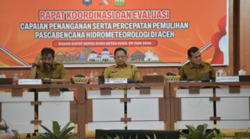 Di Hadapan Mendagri, Mualem Minta Percepatan Pemulihan Sawah dan Infrastruktur