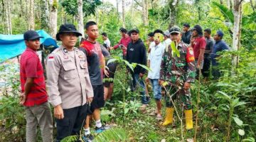 Personel Polsubsektor Lokop Bantu Evakuasi Harimau Sumatera yang Terjerat Box Trap