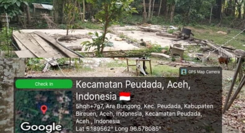 foto slider headline