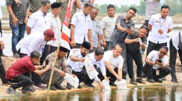 Lobi Bupati Al- Farlaky, Pembudidaya Tambak Terima Benur Udang Vaname Dari KKP