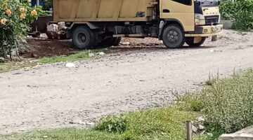 Pasca Banjir Bandang November 2025 Lalu, Harga TBS Di Aceh Utara Tembus Rp2.500 per Kg