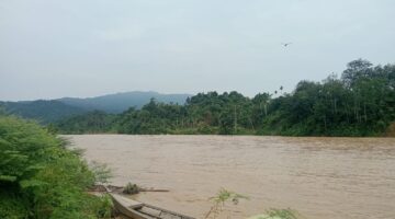 Hujan Melanda Simpang Jernih Beberapa Hari Ini, Debit Air Sungai Mulai Naik, Warga Diminta Tingkatkan Kewaspadaan