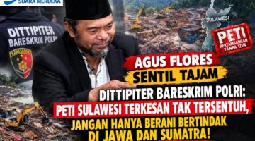 AGUS FLORES SENTIL TAJAM DITTIPITER BARESKRIM POLRI: PETI SULAWESI TERKESAN TAK TERSENTUH, JANGAN HANYA BERANI BERTINDAK DI JAWA DAN SUMATRA!