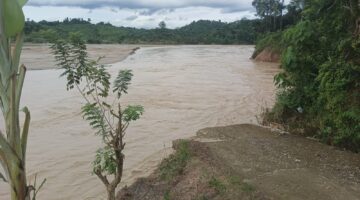 Abrasi Gerus Kebun Warga Dusun Jati, Jalan Ambruk Pemerintah Diminta Bertindak