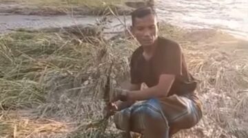 Puluhan Sawah Warga Dusun Jati Simpang Jernih Tergerus Abrasi Sungai, Warga Minta Pemda Segera Bertindak